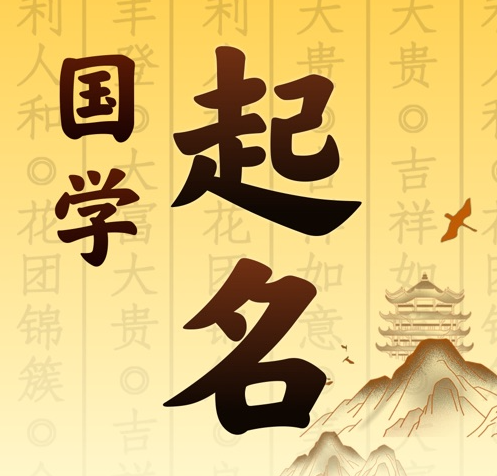 盐湖国学起名 人工起名一对一